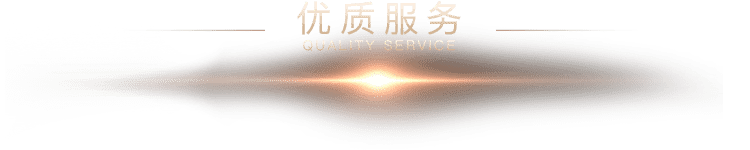 服务标题