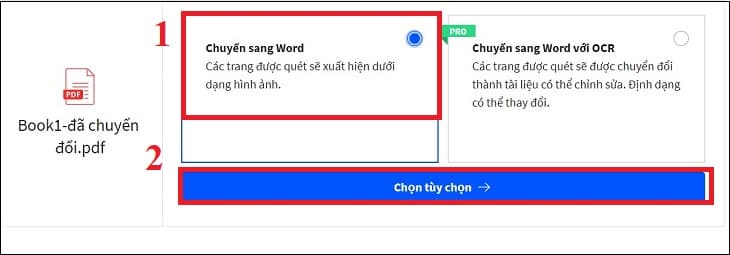 Chọn Chuyển sang Word và bấm vào Chọn tùy chọn 