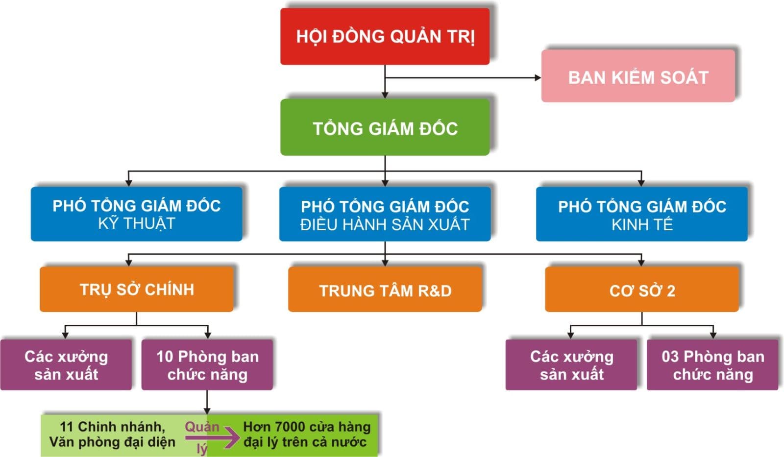 Khám phá các cách vẽ sơ đồ trong Word nhanh và đơn giản