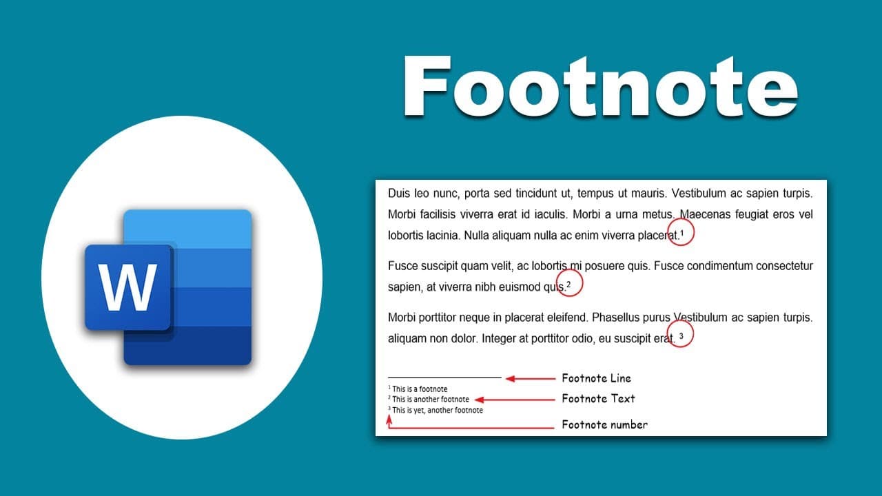 Footnote trong Word là gì? Cách chèn Footnote đơn giản nhất